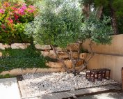 la historia de la jardineria