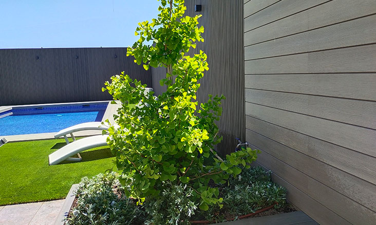jardineria y paisajismo en chalets